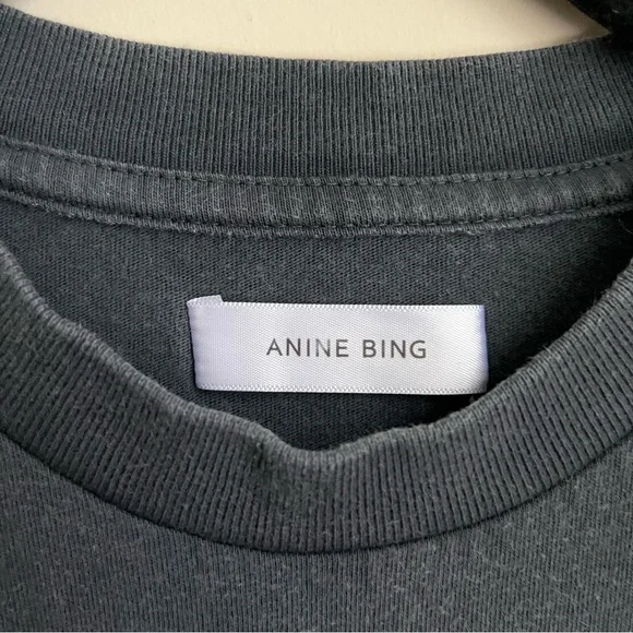 anine bing tiger graphic tee - Picture 3 of 11